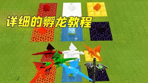 我的世界怎么获得龙蛋