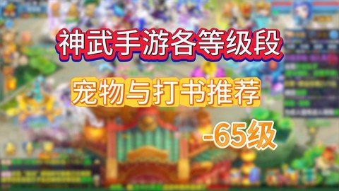 神武55级带什么好